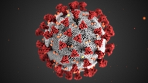 Coronavirus virus image
