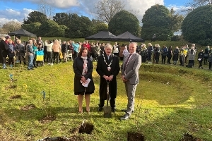 An image relating to A Tree of Reflection and Remembrance