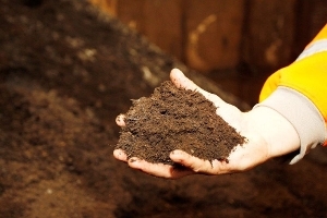 An image relating to Free compostable food waste caddy liners and soil conditioner