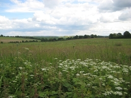 WB countryside - fields and hills