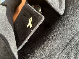 An image relating to White Ribbon Day, Saturday 25 November