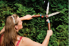 A woman trimming a conifer hedge with a pair of shears.