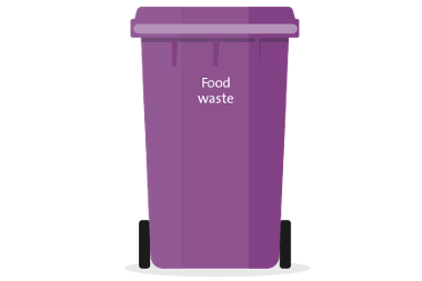 The purple food waste bin.